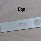 Test 13dpo 