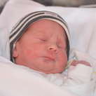 Gijs Gijs