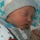 Jesse Roan Jesse Roan
